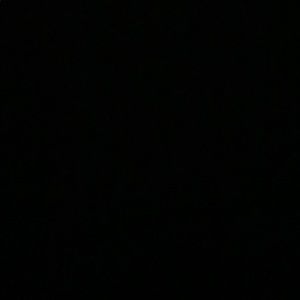 Meet your Posher, Jake